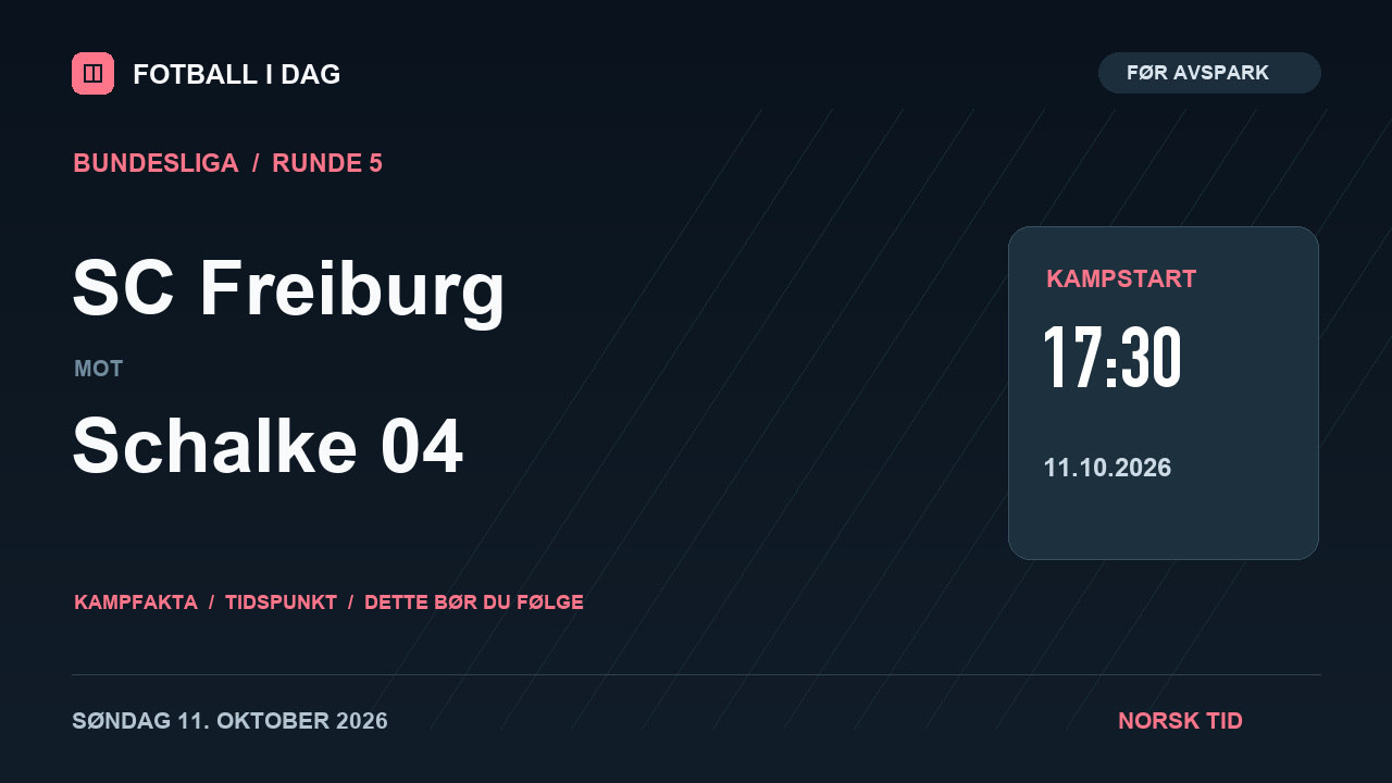 SC Freiburg – Schalke 04 – kampvideo