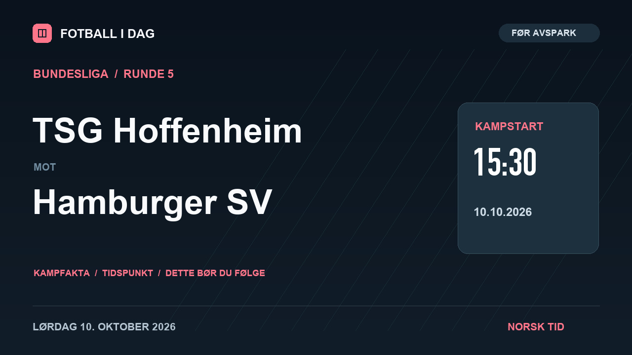 TSG Hoffenheim – Hamburger SV – kampvideo